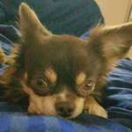 Ersteller:in Manuela Profilbild