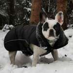 Ersteller:in Noemi Profilbild