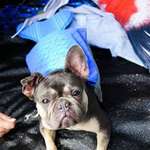 Ersteller:in Jessica Profilbild