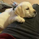 Ersteller:in Daniel Profilbild