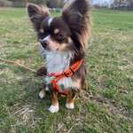 Ersteller:in Melina Profilbild