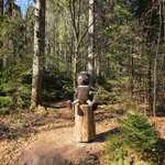 Hundeauslaufgebiet-Waldgeisterweg Ehrenfriedersdorf-Bild