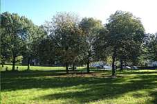 Hundeauslaufgebiet-Hundewiese Eving-Bild