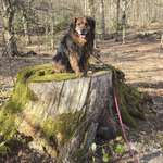 Ersteller:in Antonia Profilbild