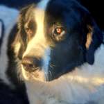 Ersteller:in Meike Profilbild