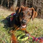 Ersteller:in Annika Profilbild