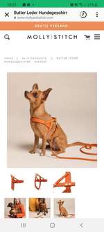 Welches Geschirr ist am besten?-Beitrag-Bild