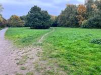 Hundeauslaufgebiet-Breukelmannhof-Bild