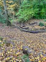 Hundeauslaufgebiet-Breukelmannhof-Bild