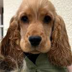 Ersteller:in Linda Profilbild