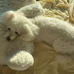 Ersteller:in Linus Profilbild