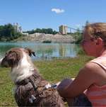 Ersteller:in Michelle Profilbild