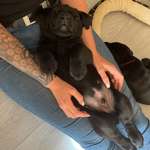 Ersteller:in Laura Profilbild