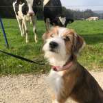 Ersteller:in Vivianne Profilbild