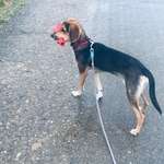 Ersteller:in A Profilbild