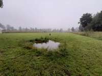 Hundeauslaufgebiet-Treff der Fellnasen-Bild