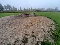 Hundeauslaufgebiet-Treff der Fellnasen-Bild