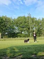 Hundeauslaufgebiet-Treff der Fellnasen-Bild