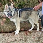 Ersteller:in Renate Profilbild