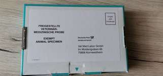 Giardien - Test-Beitrag-Bild