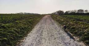 Hundeauslaufgebiet-Weyerberg-Bild