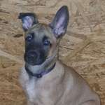 Ersteller:in Caro Profilbild