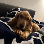 Ersteller:in Alina Profilbild