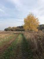 Hundeauslaufgebiet-Falkenseer Alpen-Bild