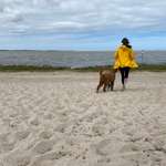 Ersteller:in Theresa Profilbild