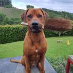 Ersteller:in C Profilbild