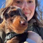 Ersteller:in Johanna Profilbild