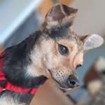 Ersteller:in Sandra Profilbild