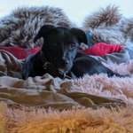 Ersteller:in Pina Profilbild