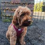 Ersteller:in Maylin Profilbild