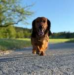 Ersteller:in Stephanie Profilbild