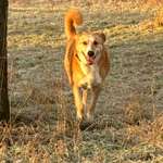 Ersteller:in Susanna Profilbild