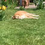 Ersteller:in Susanna Profilbild