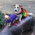 Ersteller:in Bianca Profilbild