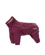 Jacken für kleine Hunde-Beitrag-Bild