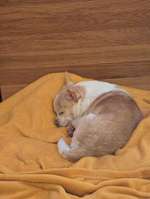 Rucksack für Transport mit dem Rad-Beitrag-Bild