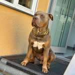 Ersteller:in Denise Profilbild