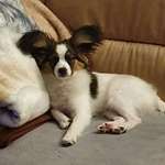 Ersteller:in Katlen Profilbild