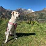 Ersteller:in Katja Profilbild