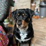 Ersteller:in Maxi Profilbild