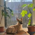 Ersteller:in Anna Profilbild