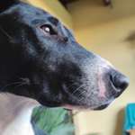 Ersteller:in Vivien Profilbild