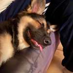 Ersteller:in Liisa Profilbild