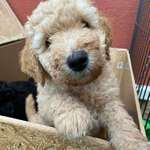 Ersteller:in Jenni Profilbild