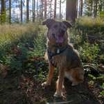 Ersteller:in Darleen Profilbild