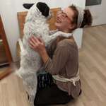 Ersteller:in Lisi Profilbild